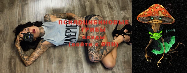 ECSTASY Алексеевка