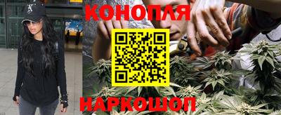 спайс Аша