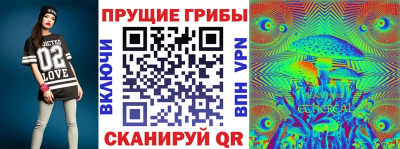 где продают   Выкса  Псилоцибиновые грибы GOLDEN TEACHER 