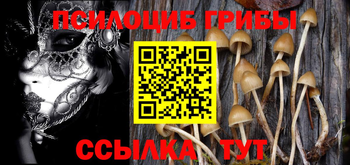 Выкса  Галлюциногенные грибы Magic Shrooms  Вход с VPN 