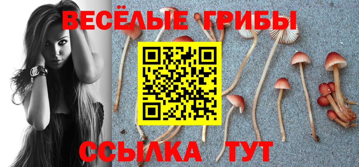 Галлюциногенные грибы Cubensis Выкса